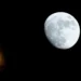 Así lució la espectacular última Superluna del año
