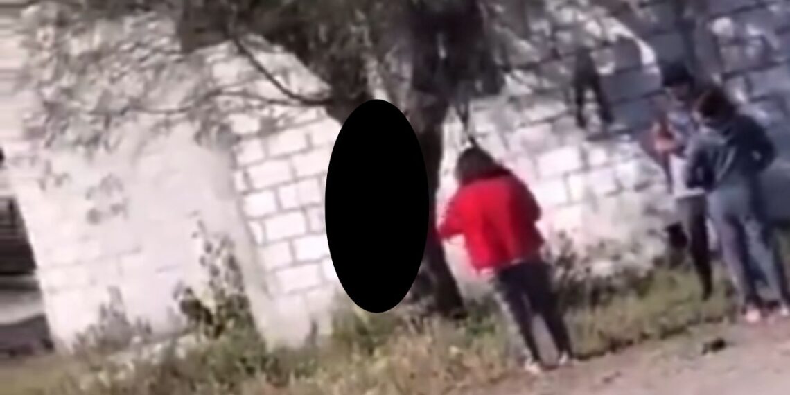 Cuelgan a perrito de un árbol para asesinarlo, en Puebla