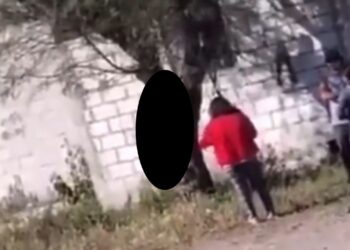 Cuelgan a perrito de un árbol para asesinarlo, en Puebla