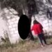 Cuelgan a perrito de un árbol para asesinarlo, en Puebla