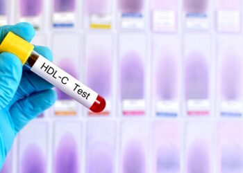 Descubren una manera de revertir la infertilidad al reducir el colesterol HDL