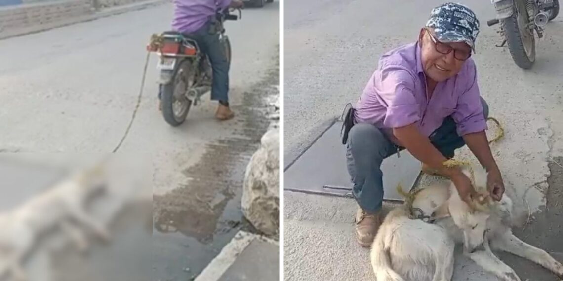 Exigen justicia para perrito que fue arrastrado en una moto en Soledad Etla, Oaxaca