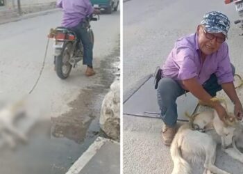Exigen justicia para perrito que fue arrastrado en una moto en Soledad Etla, Oaxaca