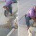 Exigen justicia para perrito que fue arrastrado en una moto en Soledad Etla, Oaxaca