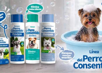 La guía Del Perro Consentido para bañar a tu lomito en 10 pasos