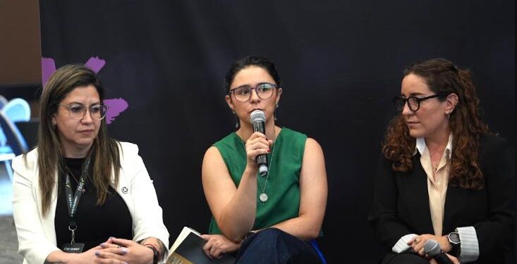 Tener seguro no basta, el reto es que las mujeres puedan usarlo cuando lo necesitan: Sofía
