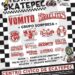FESTIVAL SKATEPEC 2024: una explosión de ska, hardcore y punk en Ecatepec