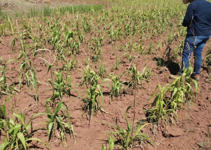 Declaran emergencia por sequía extrema en Chihuahua: Limitarán suministro de agua