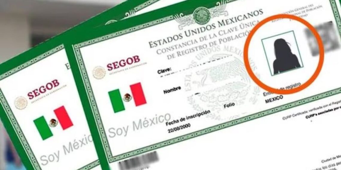 Retiran de la agenda del Senado la propuesta de CURP con fotografía