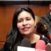 Participará la senadora Ana Lilia Rivera en cumbre de líderes parlamentarios del G20