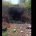 Madres Buscadoras hallan crematorio clandestino en Jalisco