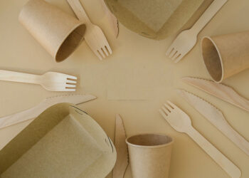 Uso de plástico compostable prioridad para la Ciudad de México