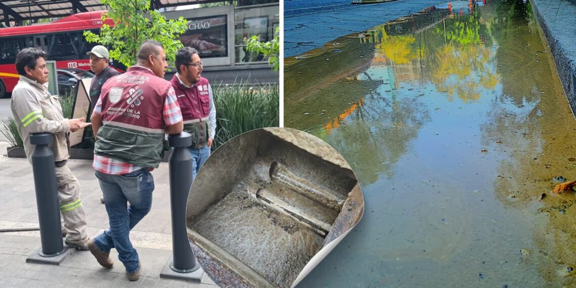 Conexión irregular provoca brote de aguas negras en Insurgentes Sur, CDMX