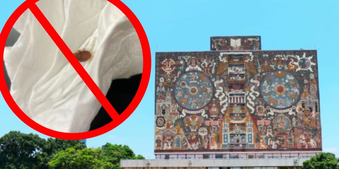 UNAM niega existencia de chinches en sus instalaciones