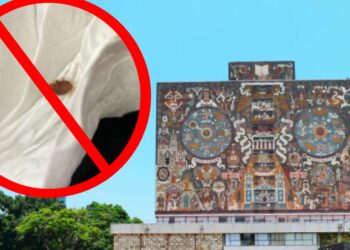UNAM niega existencia de chinches en sus instalaciones