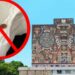 UNAM niega existencia de chinches en sus instalaciones