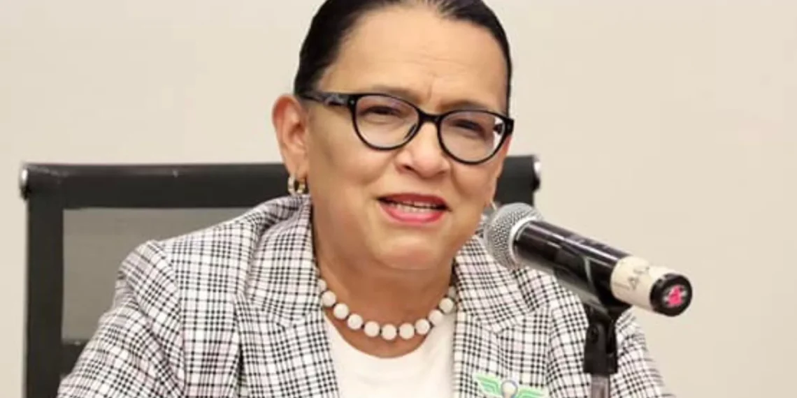 Por altos costos de almacenaje se decidió repartir bienes incautados: Rosa Icela Rodríguez