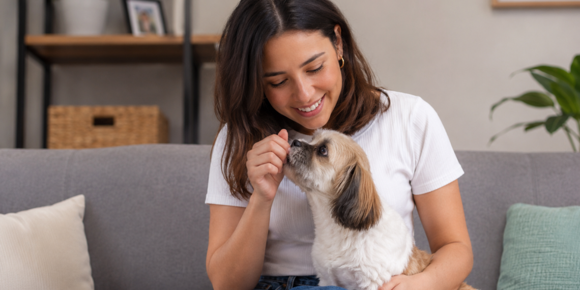 Adopción responsable y mascotas pequeñas impulsan nuevas tendencias en hogares mexicanos
