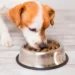 Cuida la nutrición de tus mascotas