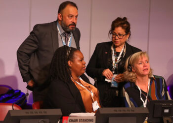 Comunidad internacional ordena  nueva visita de observación a México por vaquita marina