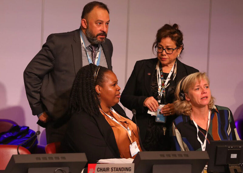 Comunidad internacional ordena  nueva visita de observación a México por vaquita marina