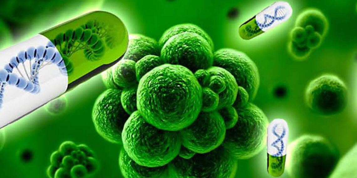 Resistencia Antimicrobiana ¿Cómo pueden contribuir los distintos actores a frenar esta amenaza de salud pública?