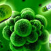 Resistencia Antimicrobiana ¿Cómo pueden contribuir los distintos actores a frenar esta amenaza de salud pública?