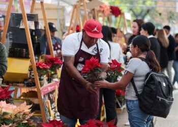 Arranca el Festival de Flores de Nochebuena: Un Colorido Preámbulo Navideño en Paseo de la Reforma