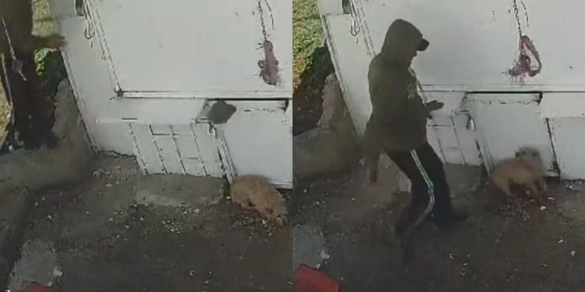 Captan a trabajador de limpieza golpeando a perrito en Naucalpan