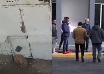 Extrabajador que golpeó a perrito en Naucalpan se entrega ante la Fiscalía