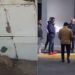Extrabajador que golpeó a perrito en Naucalpan se entrega ante la Fiscalía