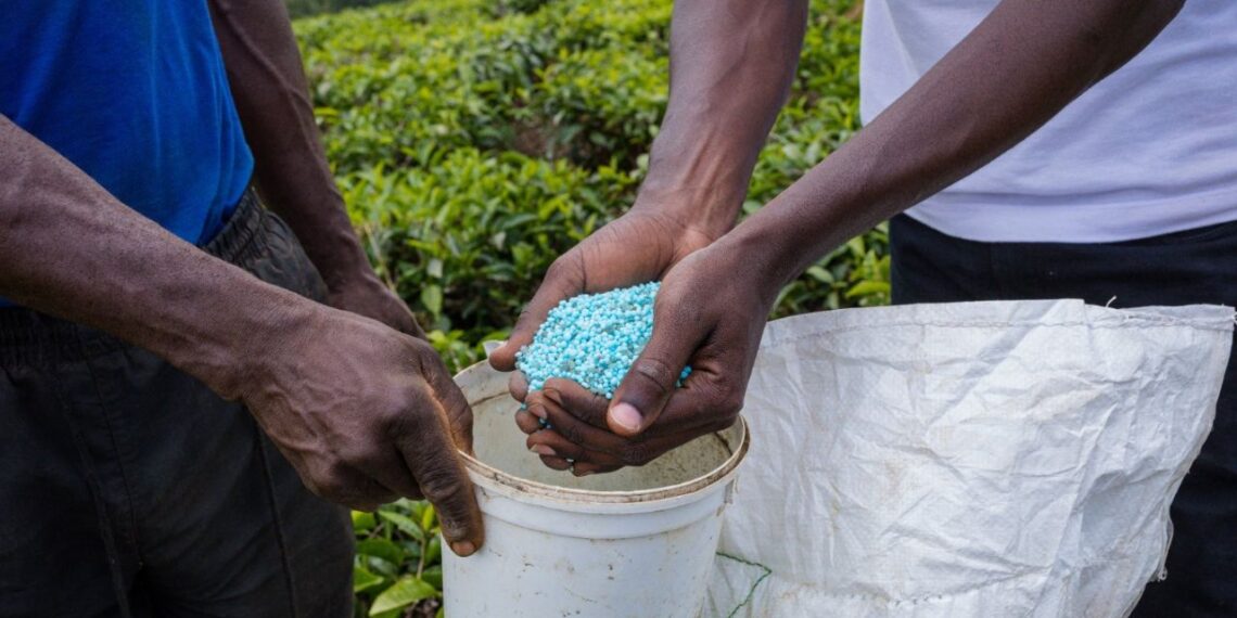 FAO prevé alza en demanda de fertilizantes