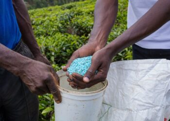 FAO prevé alza en demanda de fertilizantes