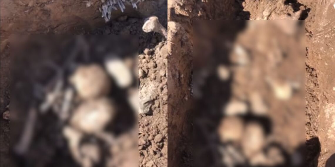 Madres Buscadoras hallan fosa clandestina en zona rural de Hermosillo, Sonora