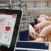 La industria porcícola de México garantiza su prestigio y sólida competencia mundial