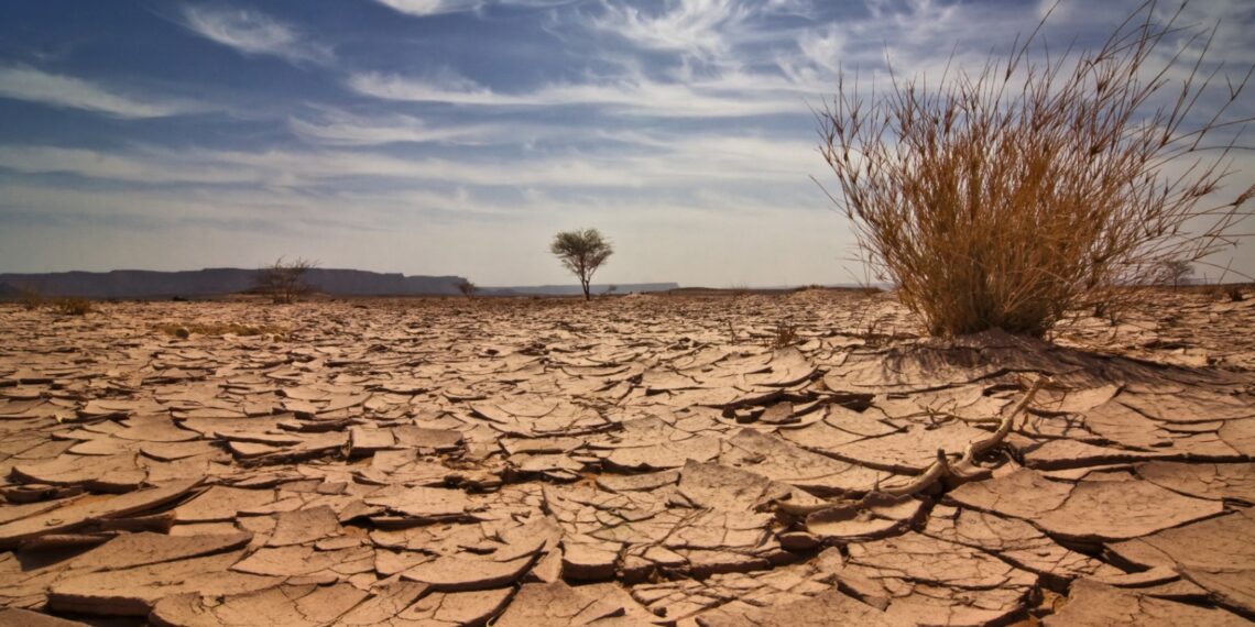 Almacenamiento óptimo del agua: una opción viable ante la crisis hídrica de México