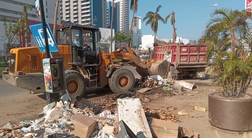 Resiliencia empresarial en medio de la adversidad: estrategia para reconstruir Acapulco
