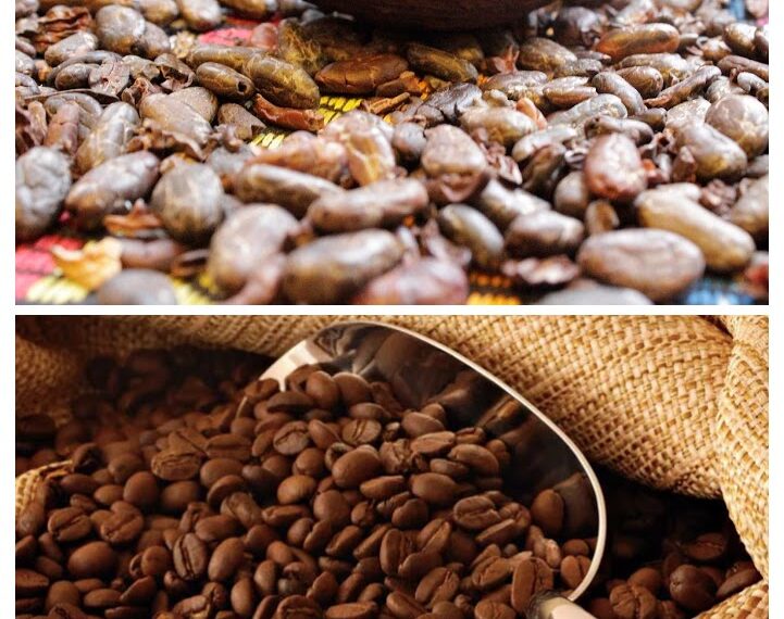 CAFÉ Y CHOCOLATE FEST – EDICIÓN NAVIDEÑA