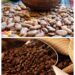 CAFÉ Y CHOCOLATE FEST – EDICIÓN NAVIDEÑA