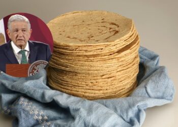 Tortilla de maíz, aliada para prevenir el cáncer: Investigadores
