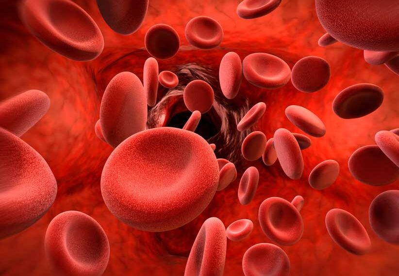 La mitad de las mujeres embarazadas en el mundo y el 30% de los niños en edad preescolar viven con deficiencia de hierro