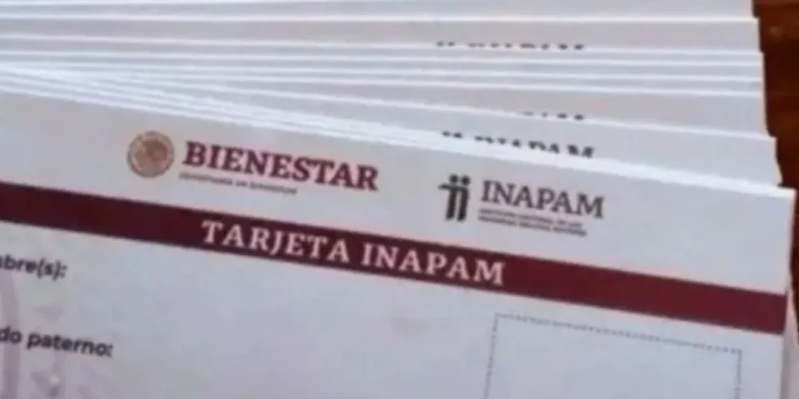 ¿Cómo tramitar la credencial del INAPAM?; módulos, requisitos y beneficios