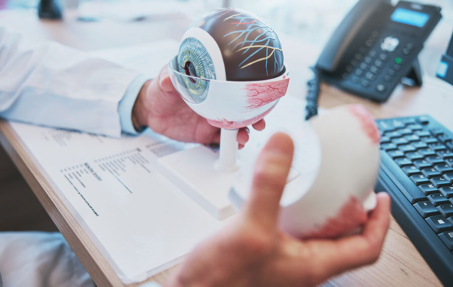 ¿Conoces tus ojos? Aprende qué partes los integran y ¡cuídalos!