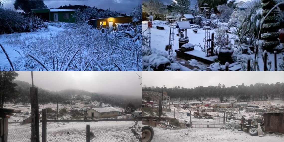 Tormenta invernal cubre de blanco a Durango, Sinaloa y Chihuahua
