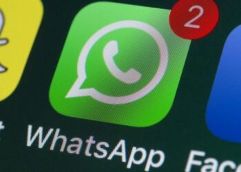 Todo lo que debes saber para manejar como experto tu WhatsApp en 2024