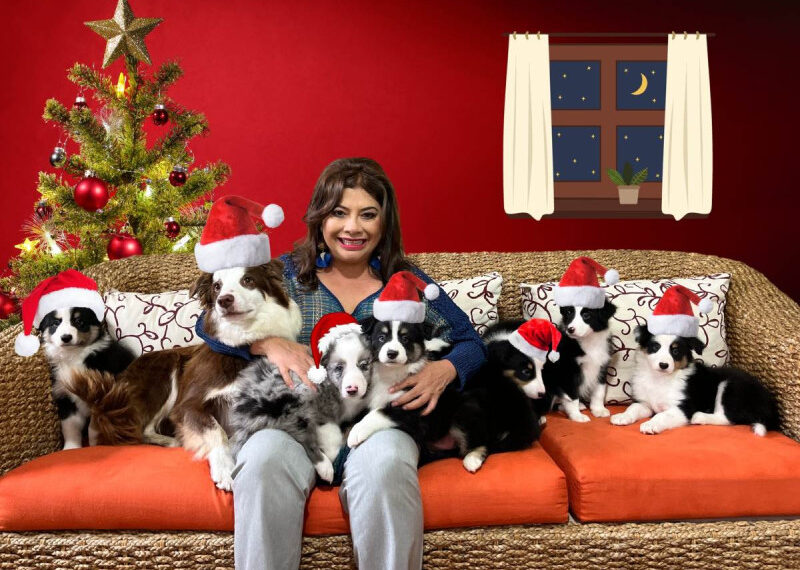 ‘Vienen tiempos mejores’, Clara Brugada felicita a habitantes de CDMX en Navidad