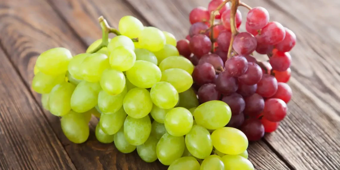 ¿A cómo está el kilo de uvas para recibir el Año Nuevo 2024?