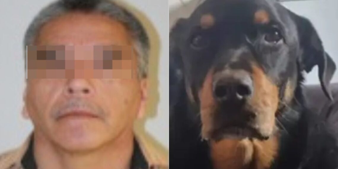 Hombre que quemó con acido a perrito Sbanch en Sonora, no será arrestado