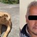 Sentencia a funcionario que envenenó a 8 perritos en Hidalgo