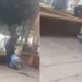 Sujeto golpea brutalmente a abuelito en parque de Querétaro
